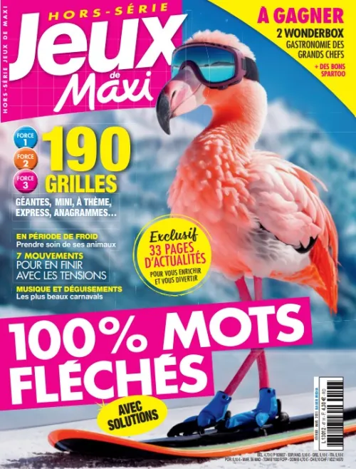 Jeux de Maxi HS FLECHES